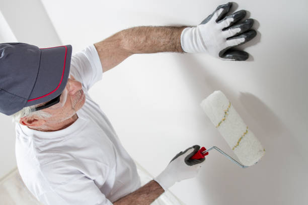 Best Mold Odor Removal Services  in Lake Barrington, IL