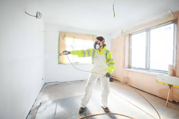 Reliable Lake Barrington, IL Mold Removal Solutions