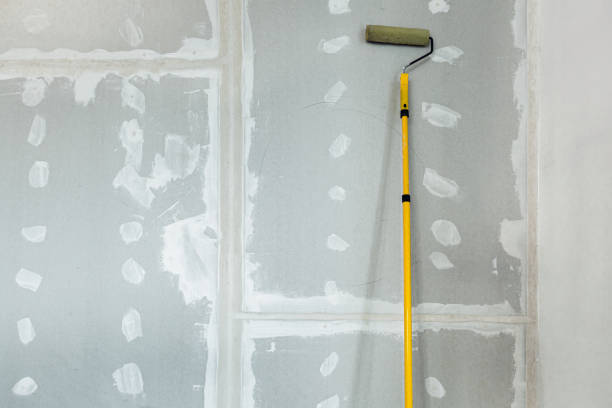 Best Post-Construction Mold Inspection  in Lake Barrington, IL