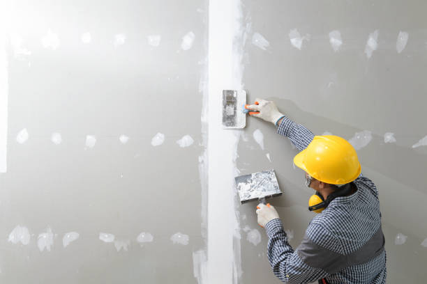 Best Biohazard Mold Removal  in Lake Barrington, IL