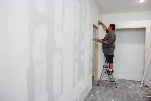 Best Real Estate Mold Inspection  in Lake Barrington, IL