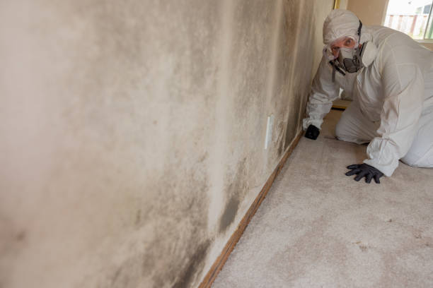 Mold Removal for HVAC Installations in Lake Barrington, IL